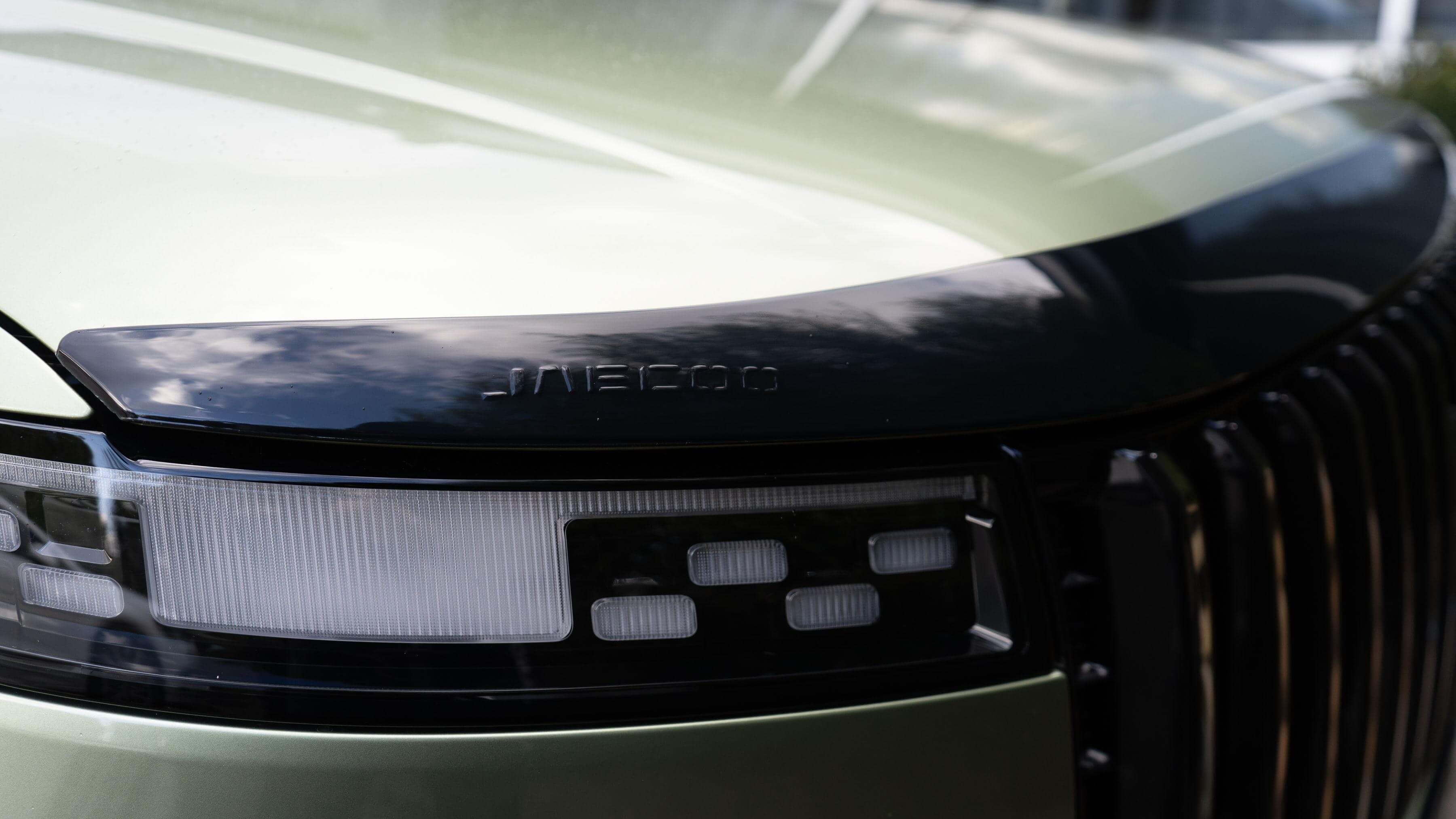 bonnet protector