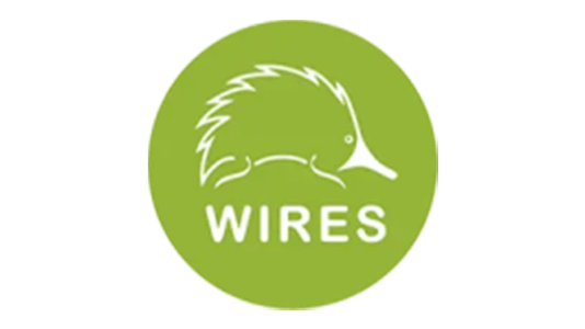 wires-partnership